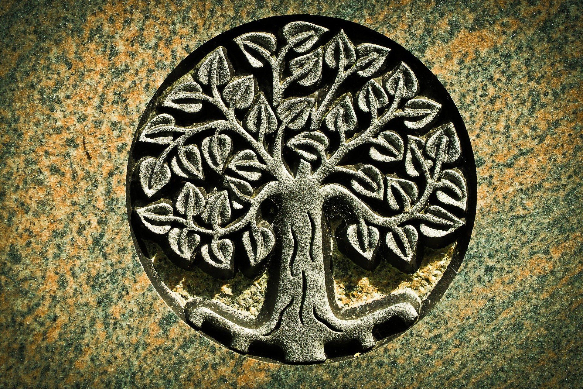 Szakrális jelképek: az Életfa