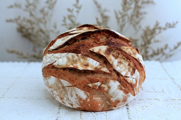A kovászos kenyér és a glutén kapcsolata